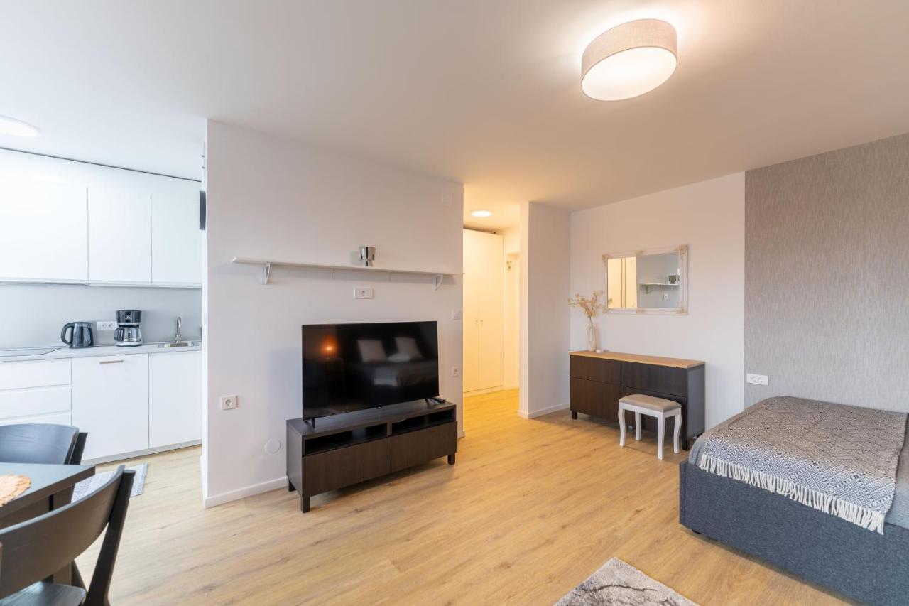 Elegant Tour As Studio Gilly With Open Views And A Balcony In The Center Любляна Екстериор снимка